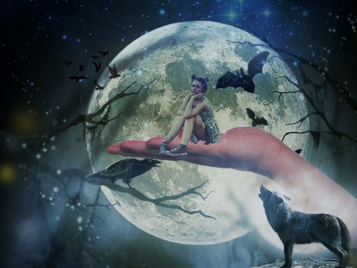 bat full moon woman girl lady witch wolf owl crow stars cosmic astrology