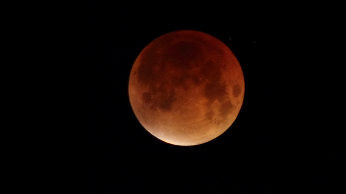 Заговор на полную луну